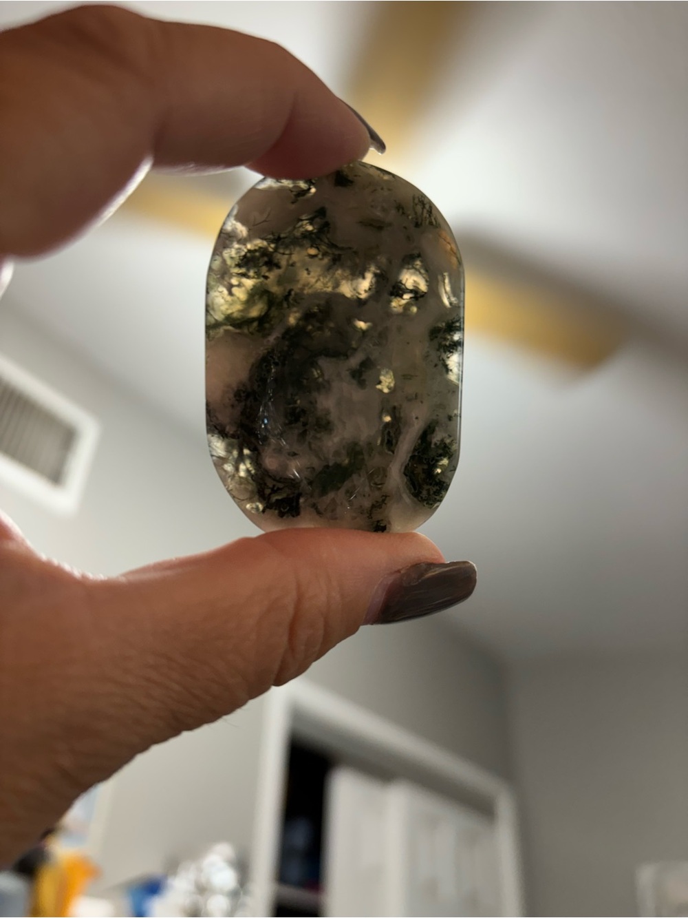 Crystal Moss Agate Palm Stone - Green/White